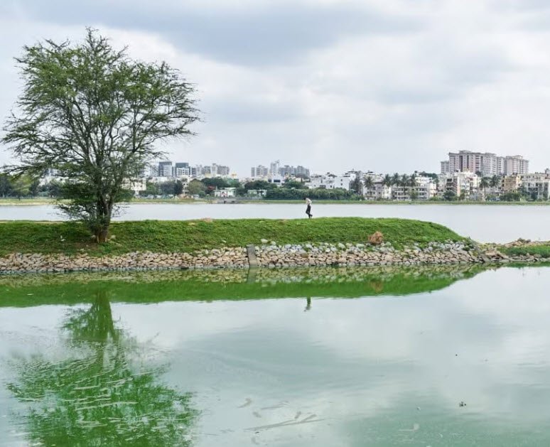 sarakki lake, Bengaluru (Bangalore) Urban, Karnataka - Vushii.com sarakki lake, Bengaluru (Bangalore) Urban, Karnataka - Vushii.com